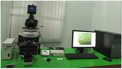 Renewable Energy & Bio TechnologySection